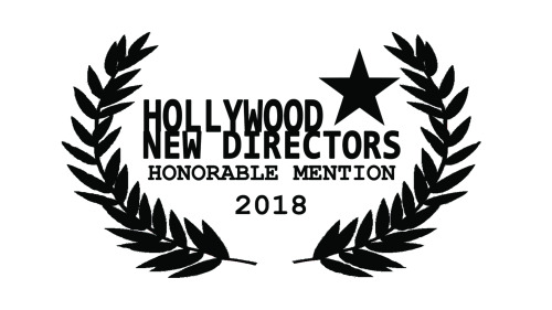 Sherlock Holmes & the Adventure of the Furtive Festivity received Honorable Mention at the 2018 