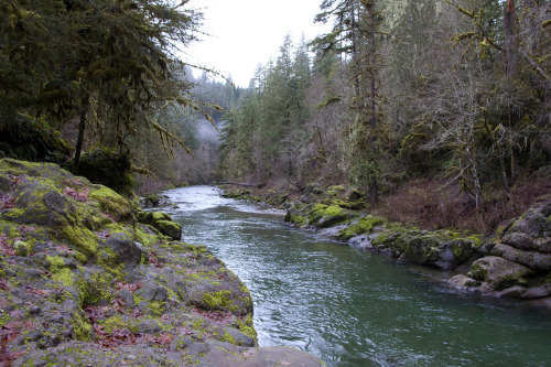 mypubliclands:  Happy Birthday, Elkhorn Creek - 18 years in the National Wild and Scenic Rivers System! Elkhorn Creek, near Salem, Oregon, includes 5.8 miles of ‘wild’ river area and a smaller segment of 0.6 miles of ‘scenic’ river area. Wild