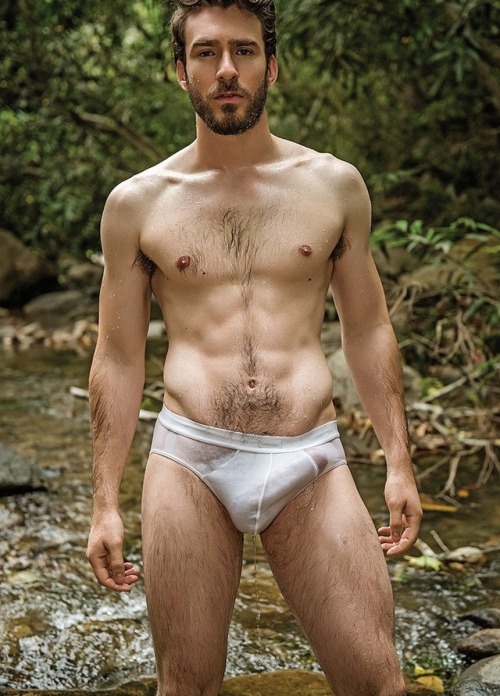 Hairy Not Beary