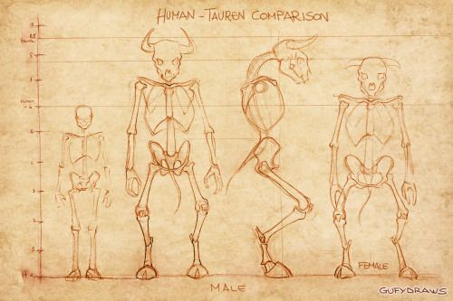 Part 2 of my project on the hypothetical anatomy of World of Warcraft&rsquo;s Horde races (up to