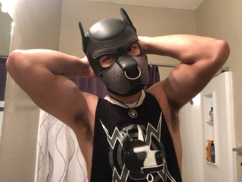 Hey, so I bought myself a pup hood.Here are some selfie‘s of me wearing it.If you want to see more, 