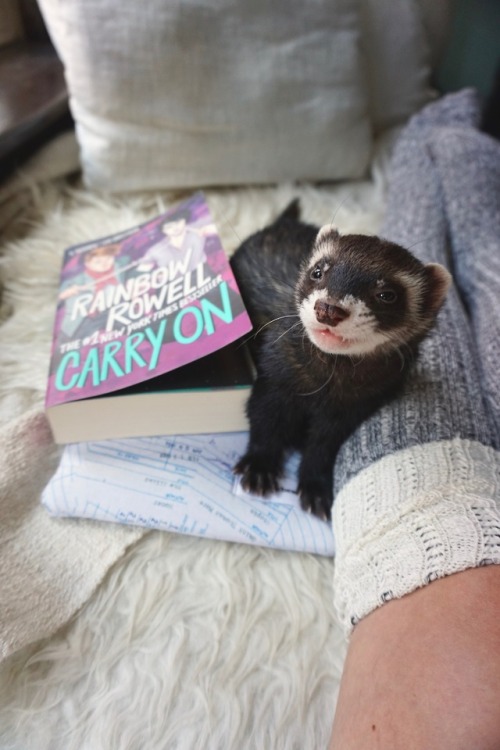 the-book-ferret: That face you make when you get to meet your favorite author but you’re SUPER