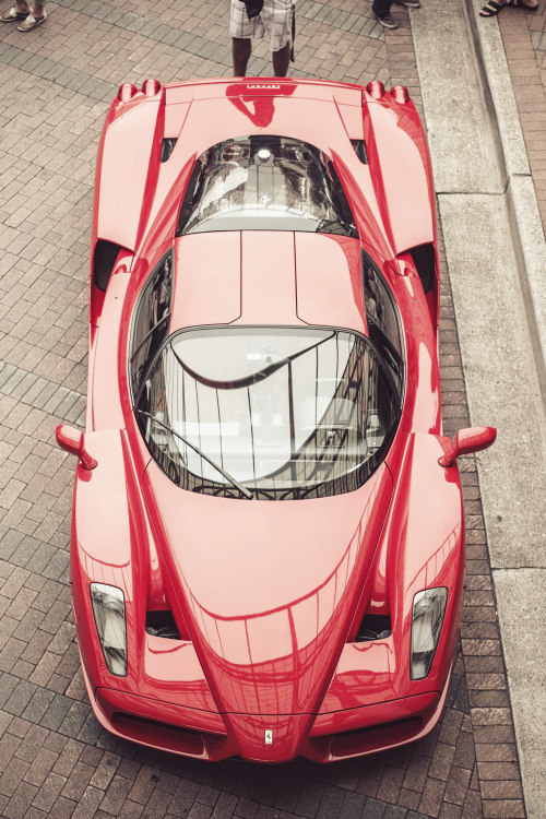 exclusive-pleasure:  F60 [Credit: Nima Zadrafi]