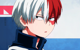 TODOROKI SHOTO | . you‘re my hero