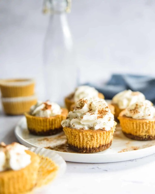 fullcravings: Pumpkin Mini Cheesecake with Gingersnap Crust