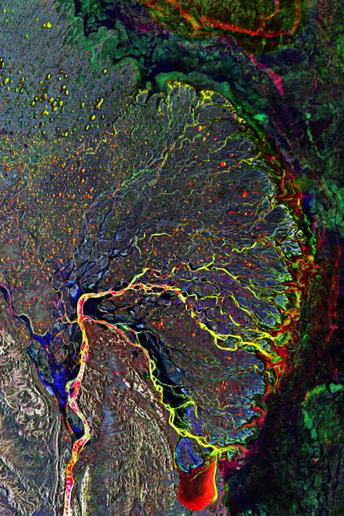chill-adventurer: infinity-imagined: River Deltas around the world, imaged with the ASAR radar instr