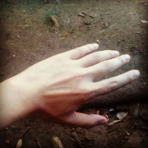 <p>#ciaoumah #http #hand #art #abstract #tags #google #photos #people #human #colors #lights #lifestyle #SeeMee #seemee #magic #feels #pins #daily #pinterest #flickr</p>
