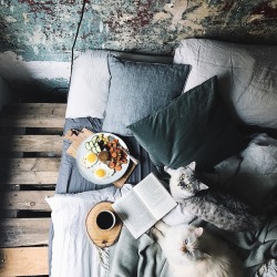 Kitten wants to stay on bed all day.