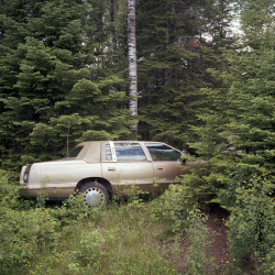 kpraslowicz:Cadillac in the woods. - Great