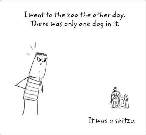 cupcakesandrainbowsxoxo: Cute and funny pun illustrations by Swerling &amp; Lazar  Ok this is se