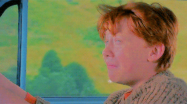 bahtmun:  Harry Potter Characters Zodiac: Ronald Bilius Weasley ♓️ Pisces will