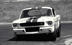 fuckyeahfordmustangs:  1965 Ford Shelby GT350R