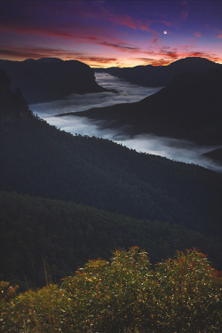 visualechoess:  Morning At Govetts Leap -