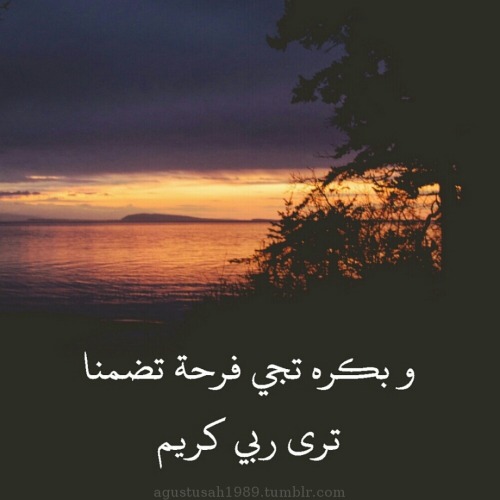 agustusah1989 - زَينبْ الزهراني 