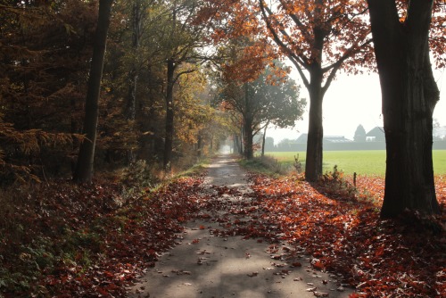 Autumn capitol of the world