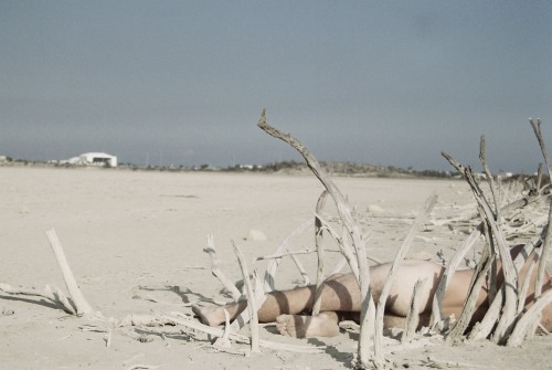 Nude on the moonSalt lake, Cyprus 2014(@sanuye-shoteka)Photo: @hermespittakos