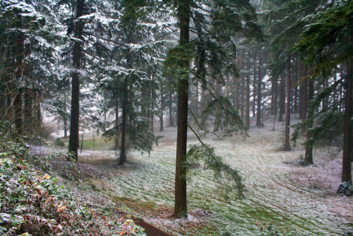 quiet-nymph:Pacific Northwest photography by Michelle N.W.☼Print Shop☼ ☼Blog☼☼ Please do not remove 