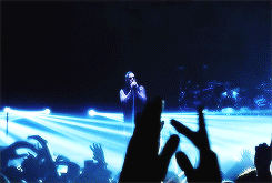 mshadowss:  Most Dedicated Fans.  hells yeah