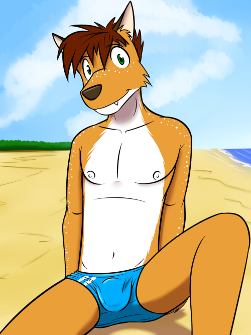 Kyle the FoxOne of the pool boys from my visual novel about a group of young men visiting a private island where they engage in debauchery all while wearing skimpy swimsuits.
