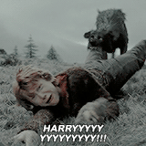 harrypotterdailly: The best of Ronald Weasley - Part I, Part II