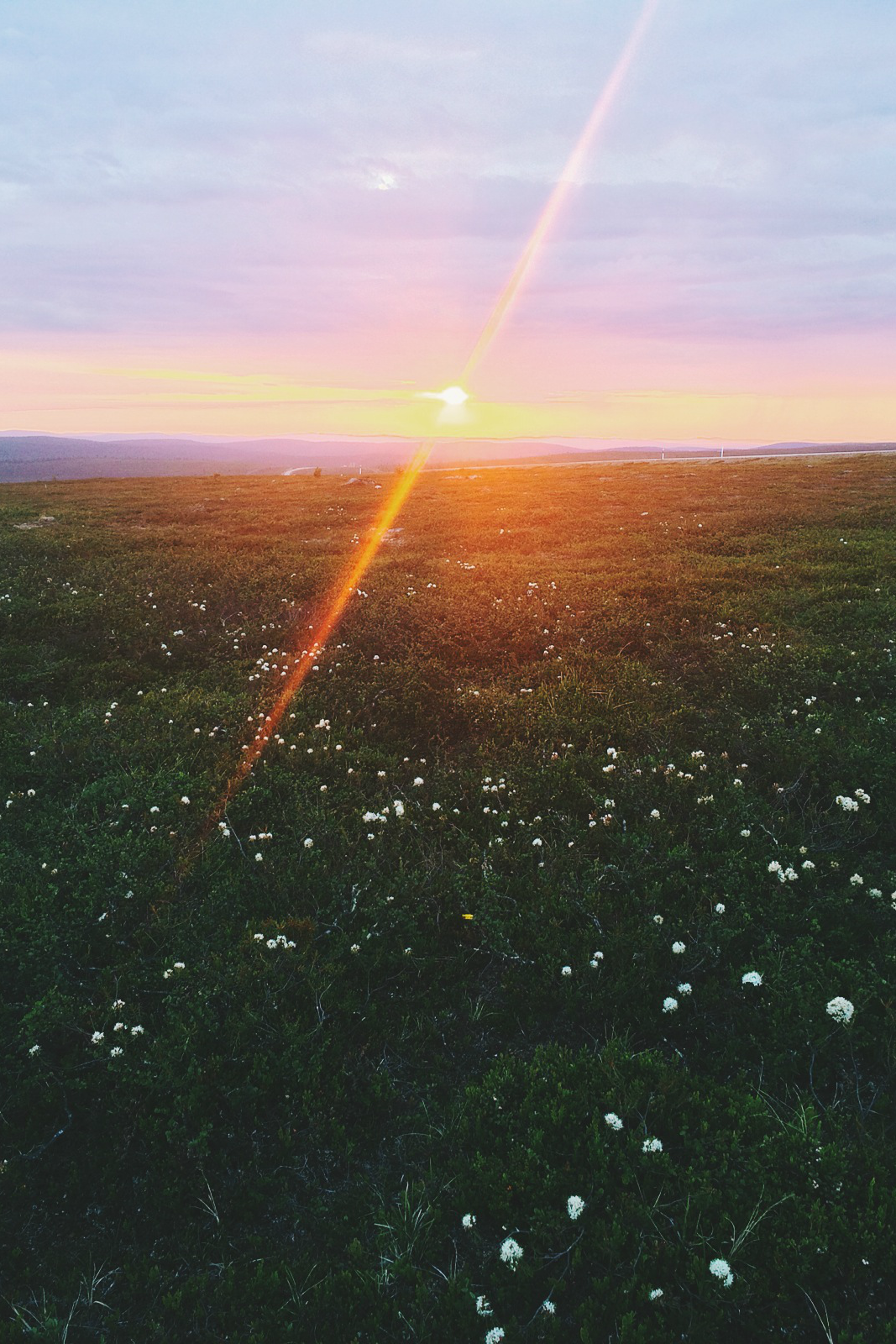 expressions-of-nature:  by Teppo Tirkkonen 