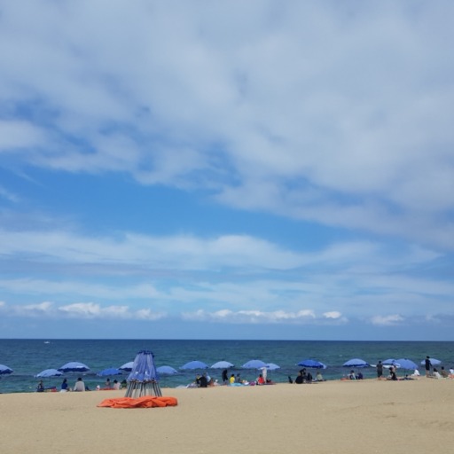 elcielo:  boby1004:  19.06.18(화)잔뜩 흐린날씨부디 무사히 하루를…  예쁘네요부럽당