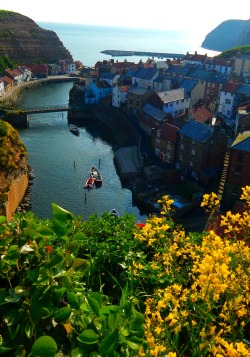 fuckitandmovetobritain:  England [37] - Staithes,Gloucester, Oxford, Evershot, Norwich, London, Nunney,Brougham Castle, Salisbury, Crosby Ravensworth  