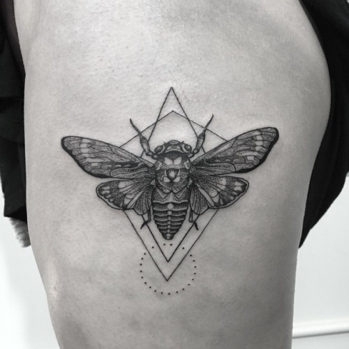 Cicada #cicadatattoo #thightattoo #geomertrictattoo #dotworktattoo #blkttt #athensgatattooartist #at