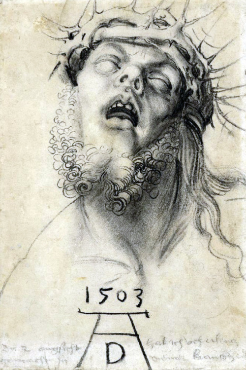 Albrecht Dürer - Head of the Dead Christ (1503).