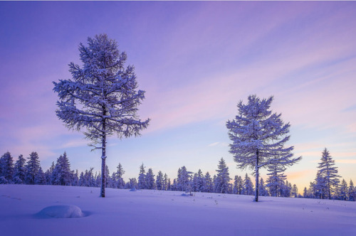 magic-spelldust:  Olonkho   