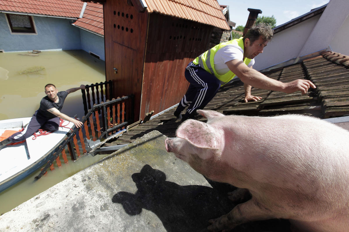 merosezah:  1. A Serbian rows a boat past flooded ambulance vehicles in the flooded