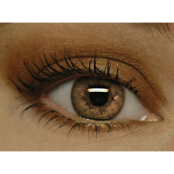 mrsepsilon:  Warm Brown Eyeshadow - GINGERBREAD