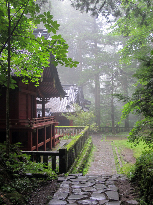 We found a secluded shrine in the mountains. Even uncle Google didn’t know it existed. Mist, cicadas