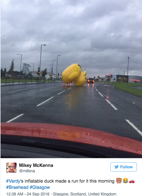 lolfactory:  Giant Inflatable Duck Wreaks Havoc on Scotland ✰ tumblr pictures ✚follow