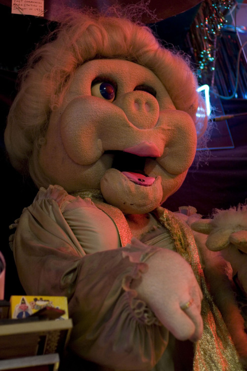 Pictures Of The Chuck E Cheese Animatronics At Marvins Marvelous Mechanical Museum. The Chuck E Cheese