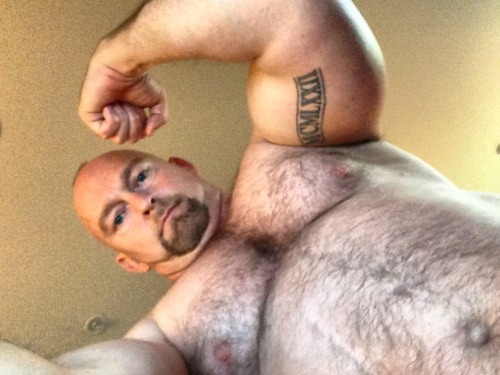 housebearsofatlanta