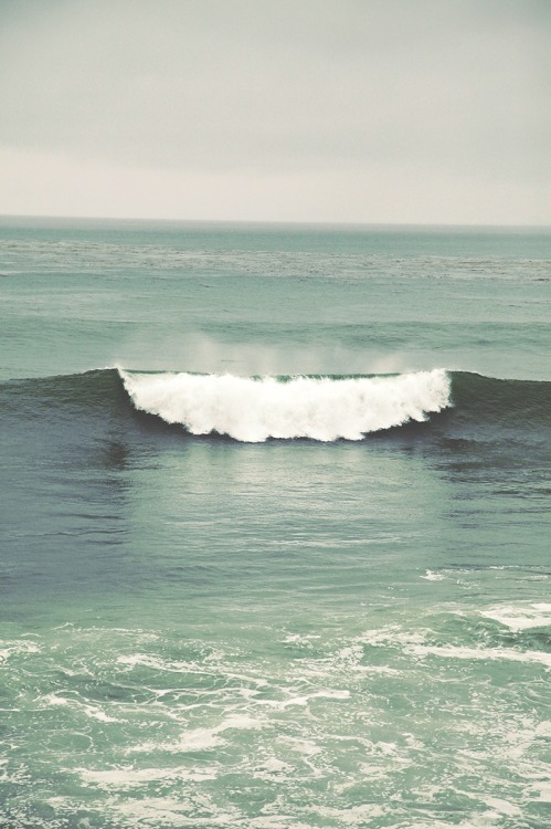 r2–d2:  Symmetry by (Valerie Manne) 
