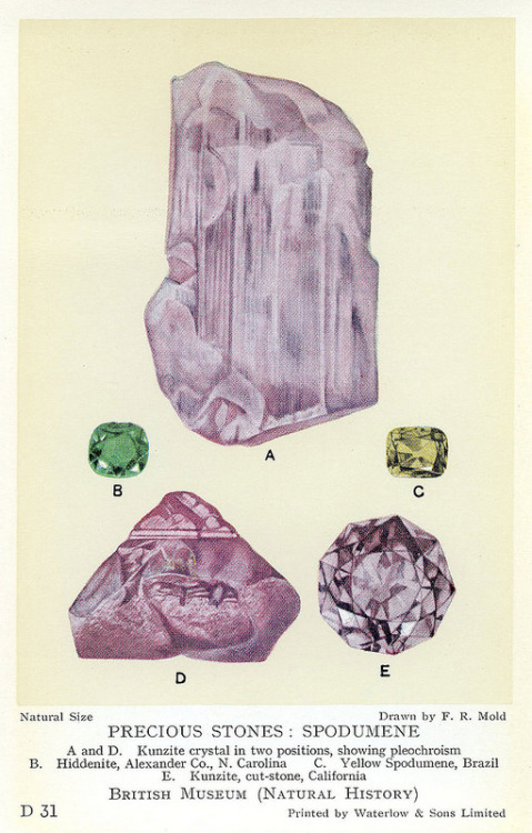 zacklover24: unearthedgemstones: Gemstone postcards by the British Museum in 1920s (via Gem Gossip) 
