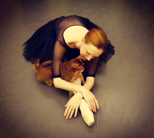 balletwarrior: Gillian Murphy and her cat Selah, shot by Tessa Murphy