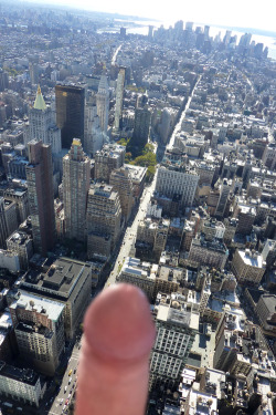 babythc:  bobbyhoying:  A silent guardian.