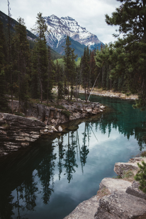 teapalm: (Tasha Marie) | Jasper National Parkwebsite | instagram | facebook