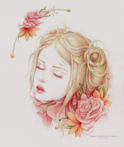 lohrien:  Illustrations by  Jennifer Healy website l tumblr