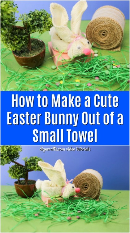  How to Make a Cute Easter Bunny Out of a Small TowelVideo tutorial: https://www.diyncrafts.com/4909