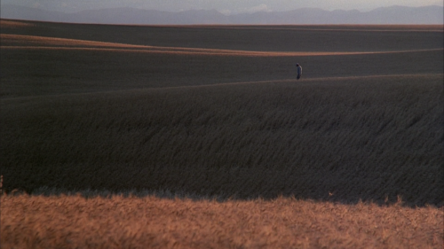 silverscreencaps:Days of Heaven (1978)