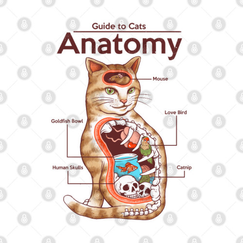 petshirts:Anatomy of a Cat T-ShirtSee why cats are weird in this guide to their anatomy.Buy now! | h