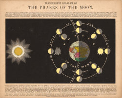 pamelalovenyc:  astronomical diagram from