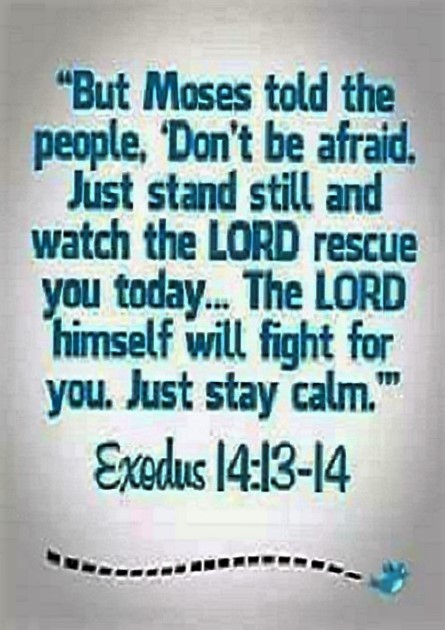 Exodus 14:13-14 (NLT) - But Moses told the people, “Don’t be afraid. Just stand still and watch the LORD rescue you today. The Egyptians you see today will never be seen again. The LORD himself will fight for you. Just stay calm.”