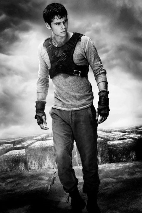 Dylan O'Brien  - The Maze Runner adult photos