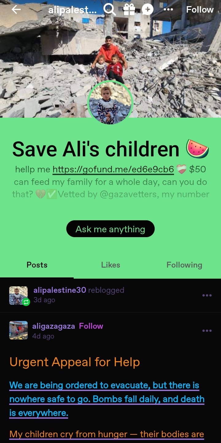Tumblr media