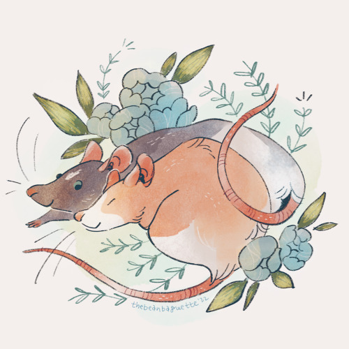 thebeanbaguette:For World Rat Day on April 4th &lt;3